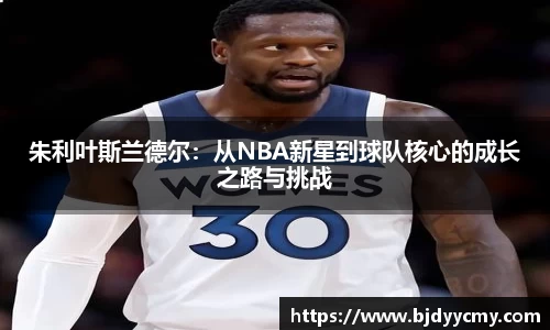 朱利叶斯兰德尔：从NBA新星到球队核心的成长之路与挑战