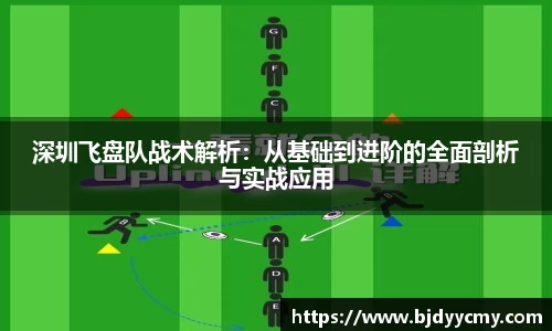 深圳飞盘队战术解析：从基础到进阶的全面剖析与实战应用