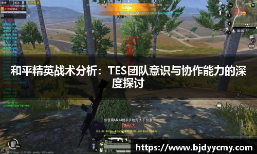 和平精英战术分析：TES团队意识与协作能力的深度探讨